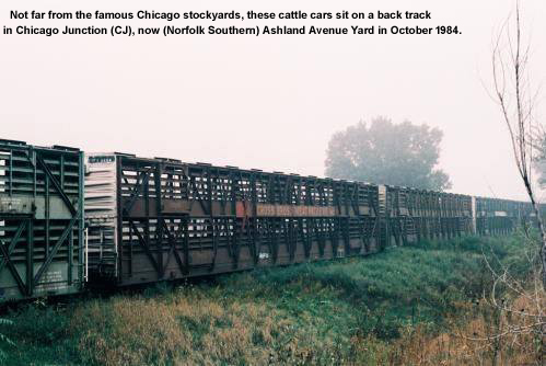 Steel livestock car